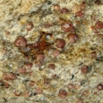 aplite  à grenats almandins ,Caladroy  (cristaux 3 mm )