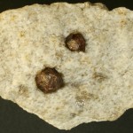 almandin, cristaux rhombododécaédriques, Serdinya