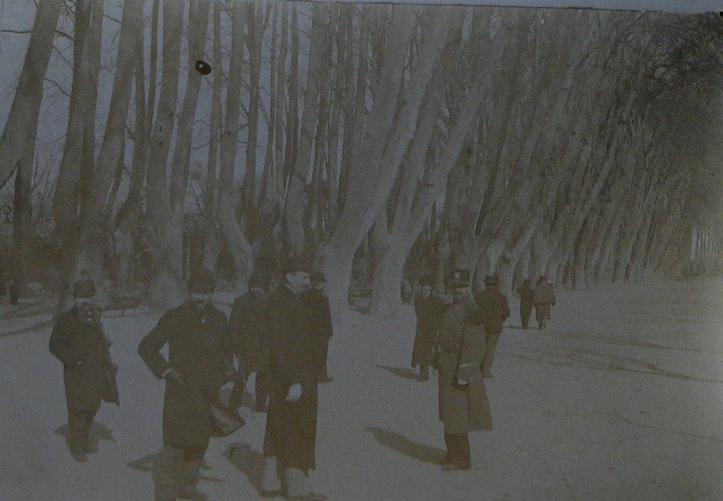 Promenade des Platanes de Perpignan