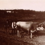 chasseur et bouvier, Jolieu photo