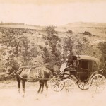 la Jardinierre du docteur, route du Sautel, Pays d'Olmes