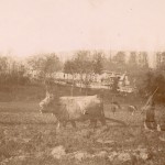 scène de labours, Jolieu photo